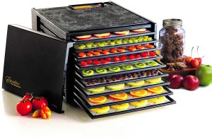 Must Have Kitchen Equipments + Dehydrator