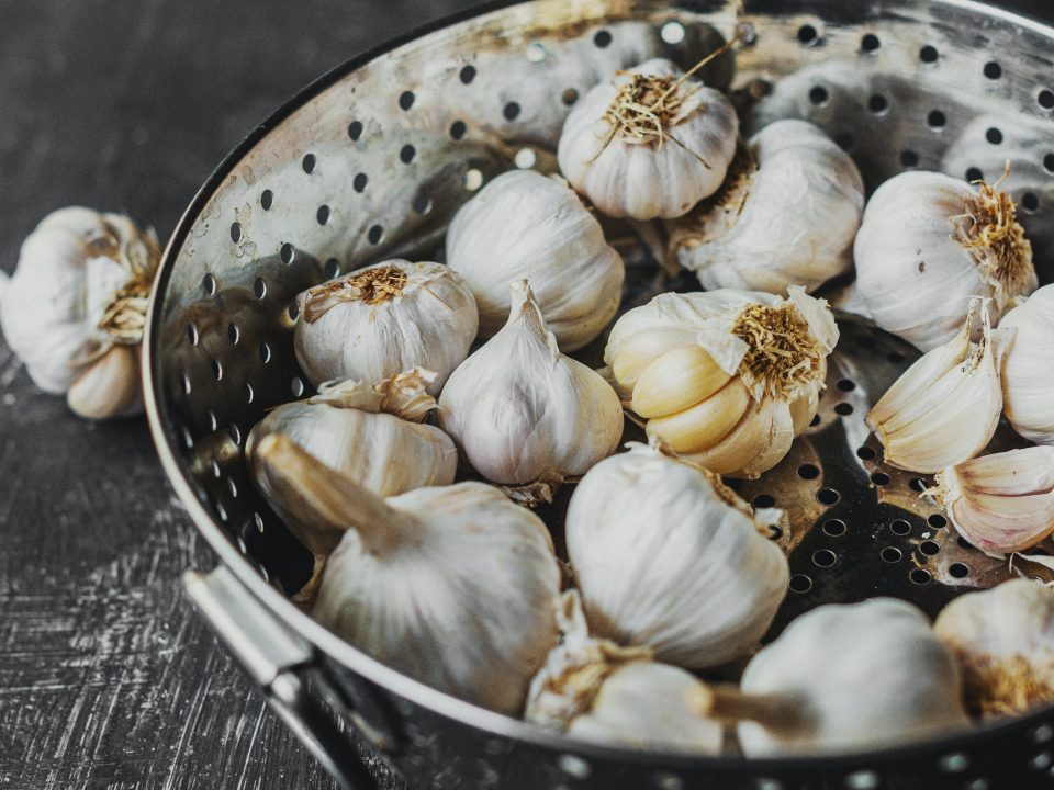 immune-system-avenger-3