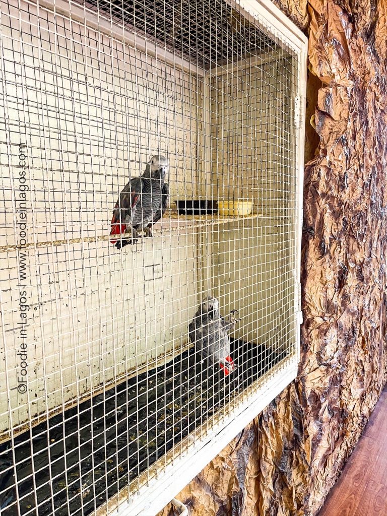 Amazonia Restaurant Abuja